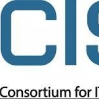 CISQ (Consortium for IT Software Quality)